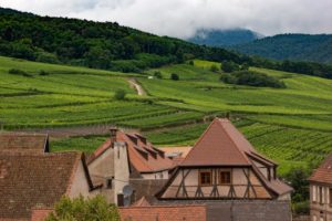 Un camping idéalement situé entre les Vosges et l'Alsace, pour découvrir les trésors de ces régions