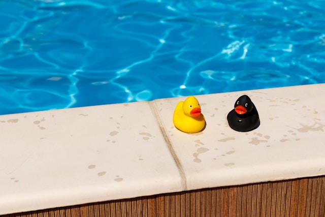 piscine canard